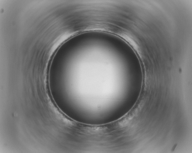 X0000089400949200706151223