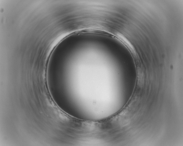 X0000089400956200706151223