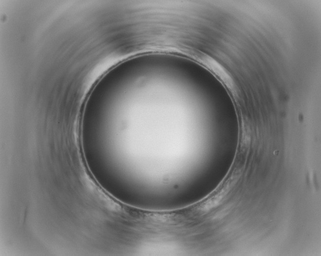 X0000089400958200706151223