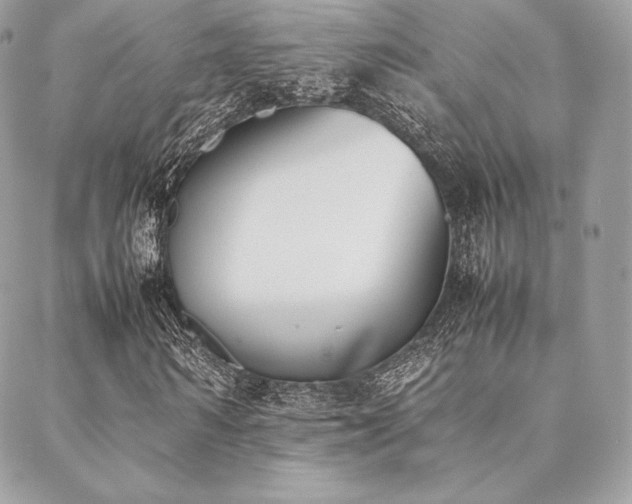 X0000089400962200706151223