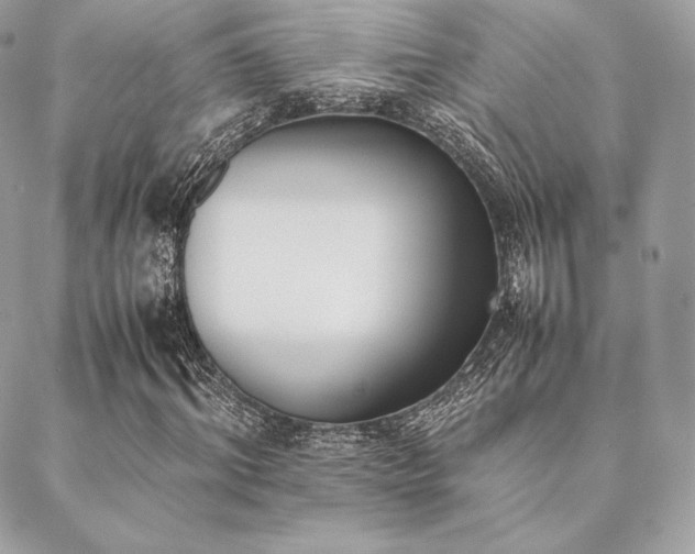 X0000089400964200706151223