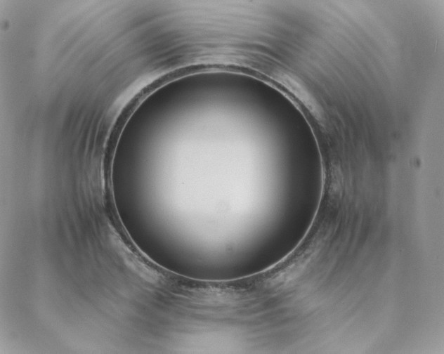 X0000089400980200706151222