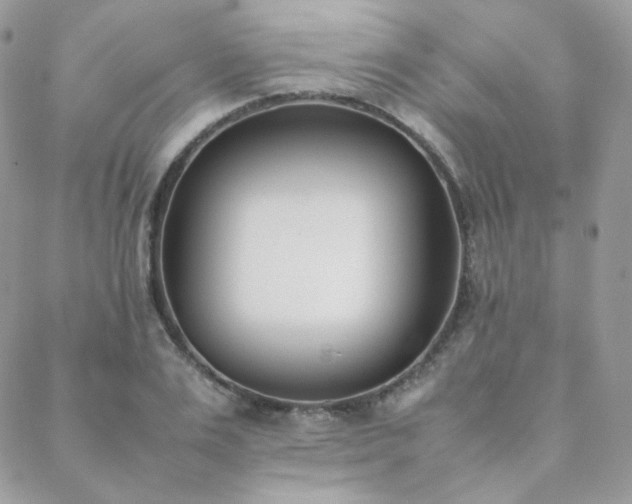 X0000089400983200706151222