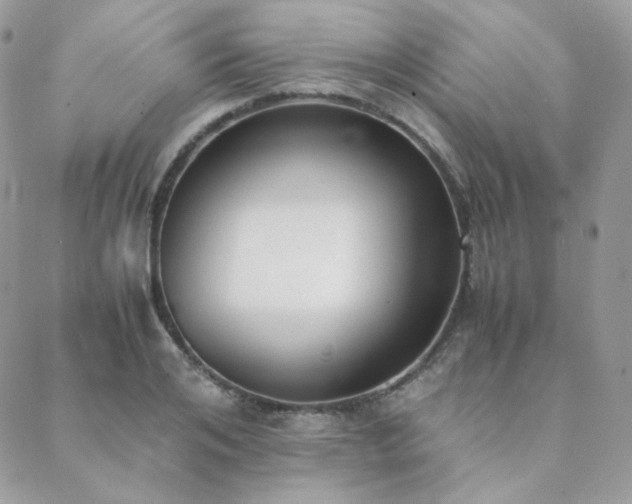 X0000089400984200706151222