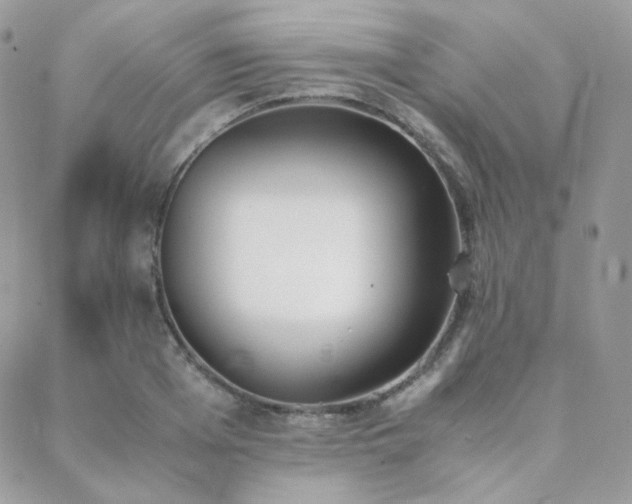 X0000089400985200706151222
