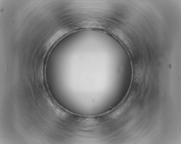 X0000089400986200706151222