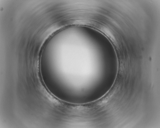 X0000089400992200706151222