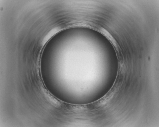 X0000089401002200706151222