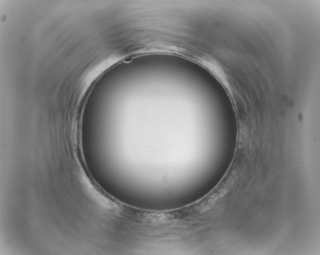 X0000089401003200706151222