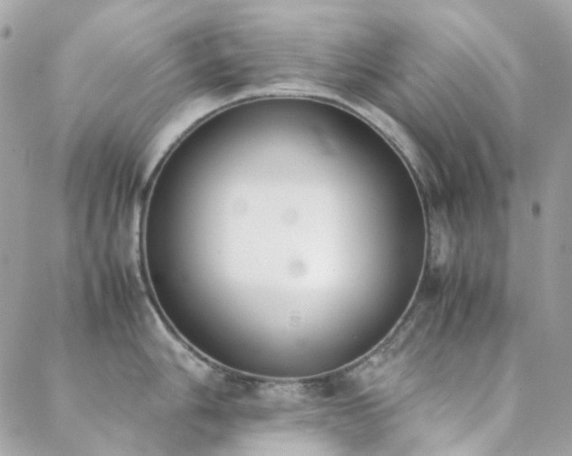 X0000089401006200706151222