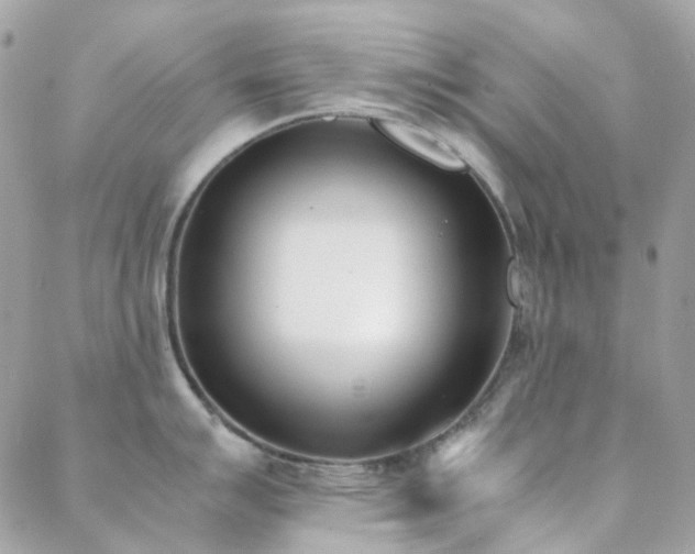 X0000089401007200706151222