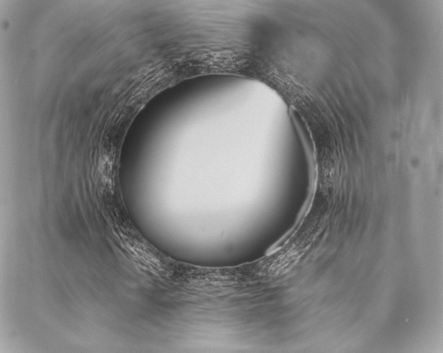 X0000089401010200706151221