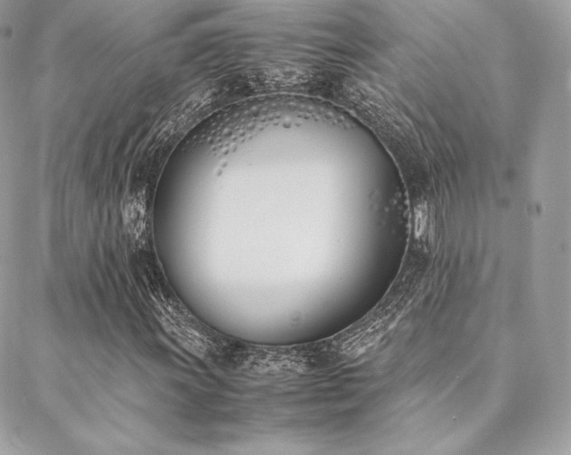 X0000089401011200706151221