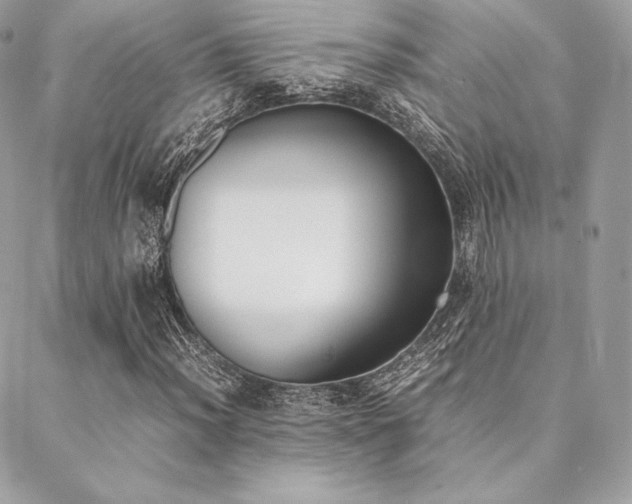 X0000089401012200706151221
