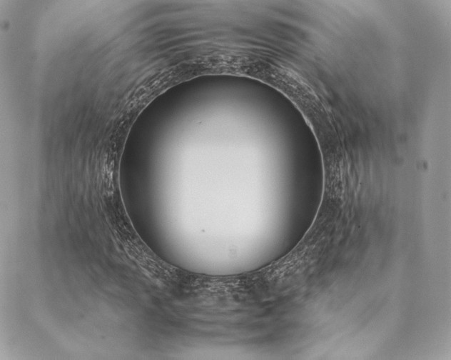 X0000089401013200706151221