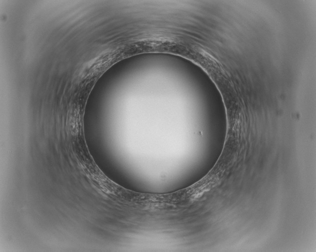 X0000089401014200706151221