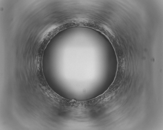X0000089401016200706151221