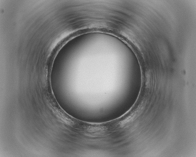 X0000089401021200706151221