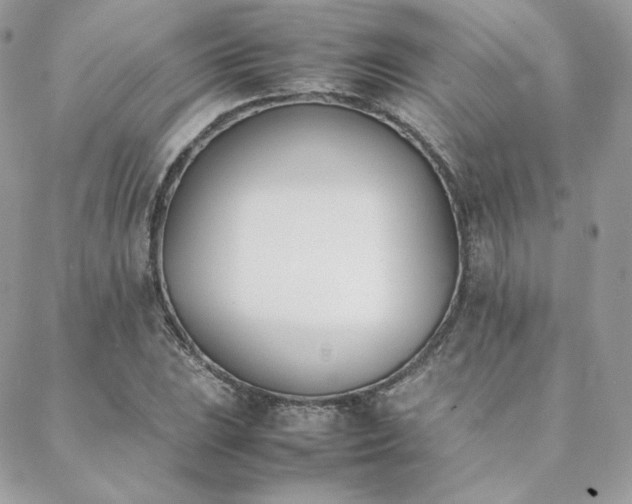 X0000089401023200706151221