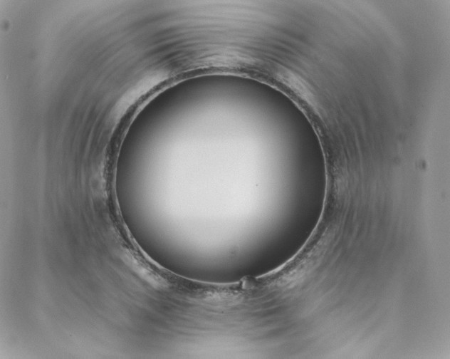 X0000089401026200706151221