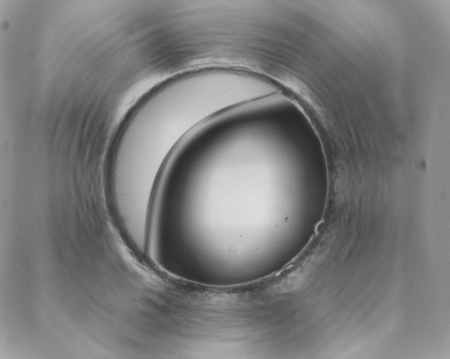 X0000089401030200706151221