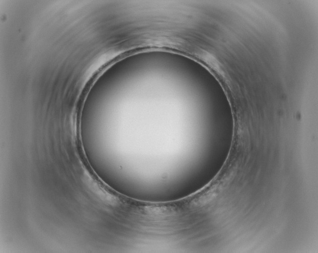 X0000089401032200706151221