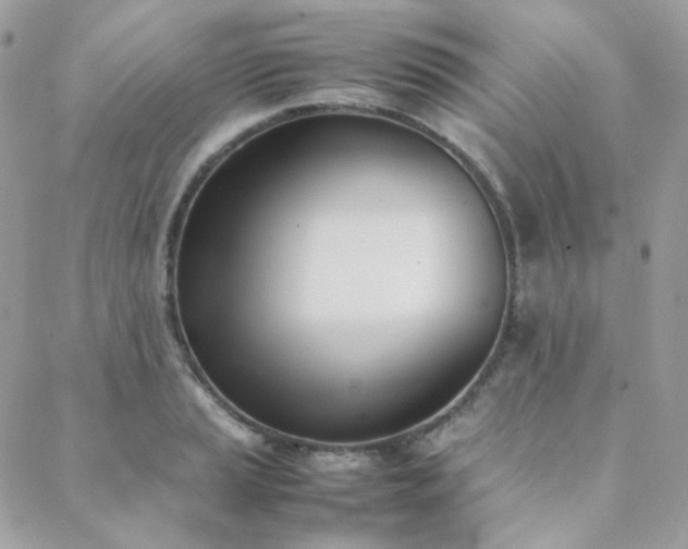 X0000089401037200706151221