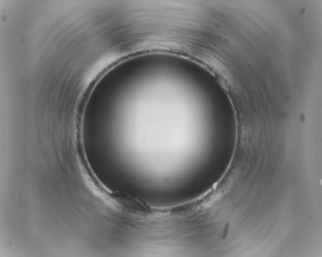 X0000089401038200706151221
