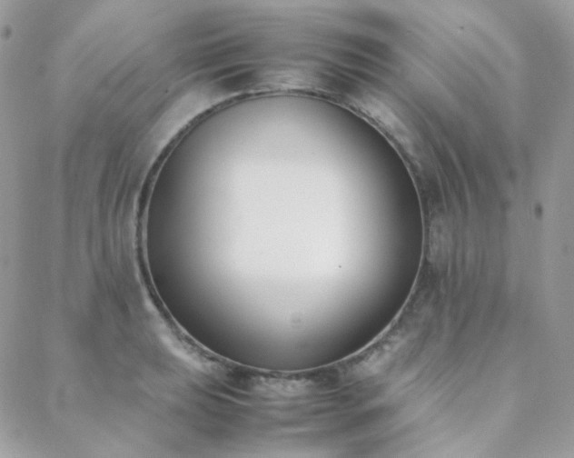 X0000089401039200706151222