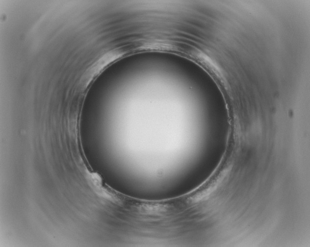 X0000089401041200706151222