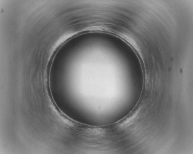 X0000089401045200706151222