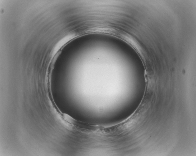 X0000089401050200706151222