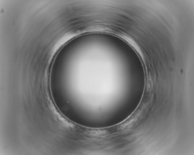 X0000089401053200706151222