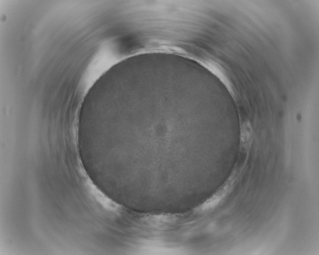 X0000089401054200706151222