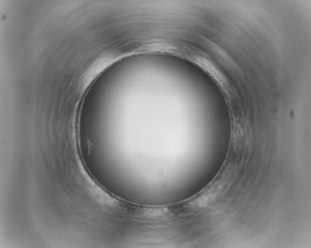 X0000089401055200706151222