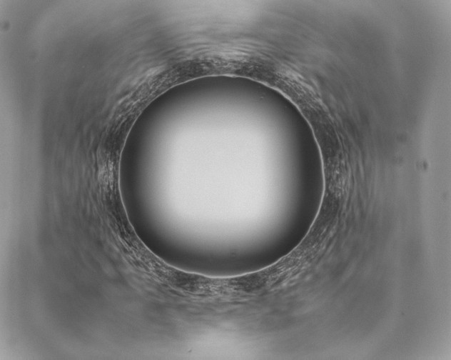 X0000089401061200706151221