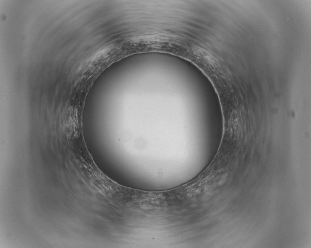 X0000089401062200706151221