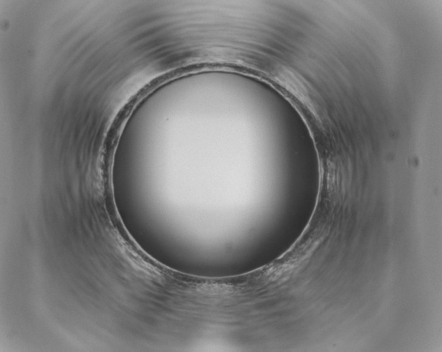 X0000089401068200706151221