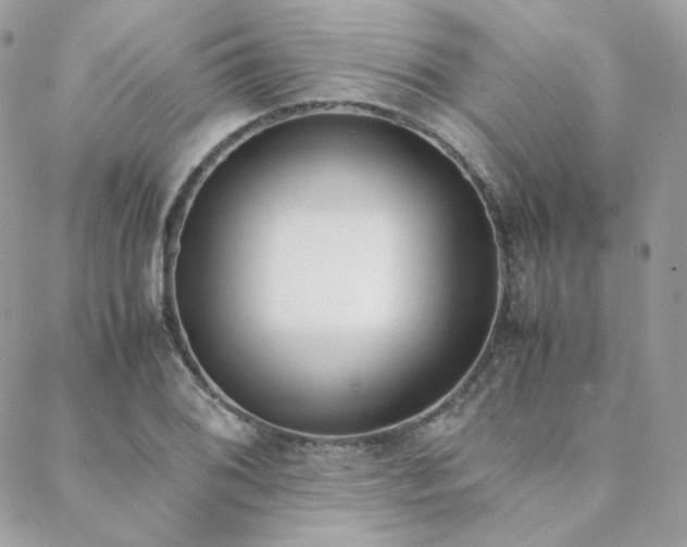 X0000089401076200706151221
