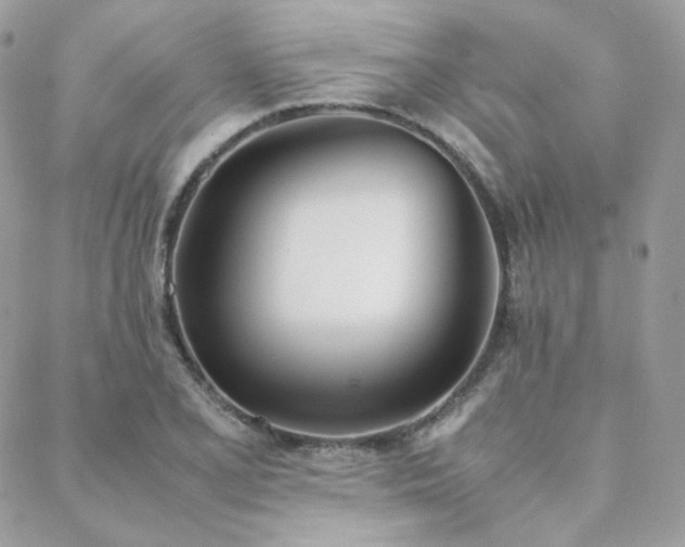 X0000089401077200706151221