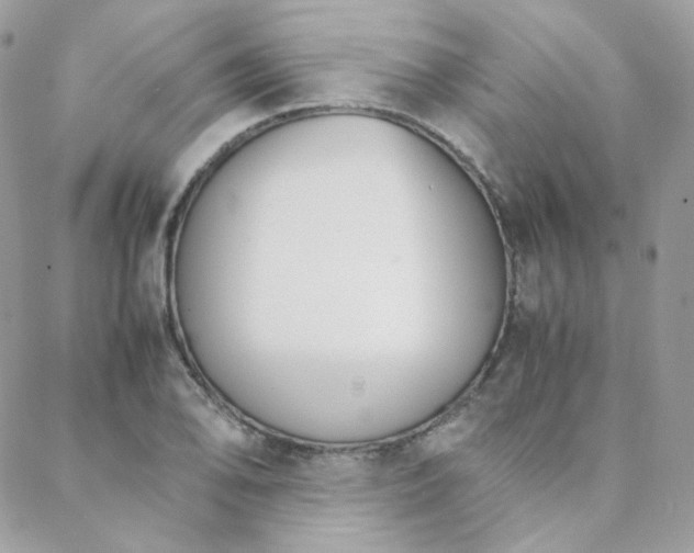 X0000089401078200706151221
