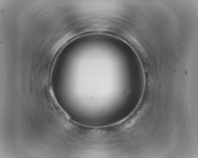 X0000089401081200706151221