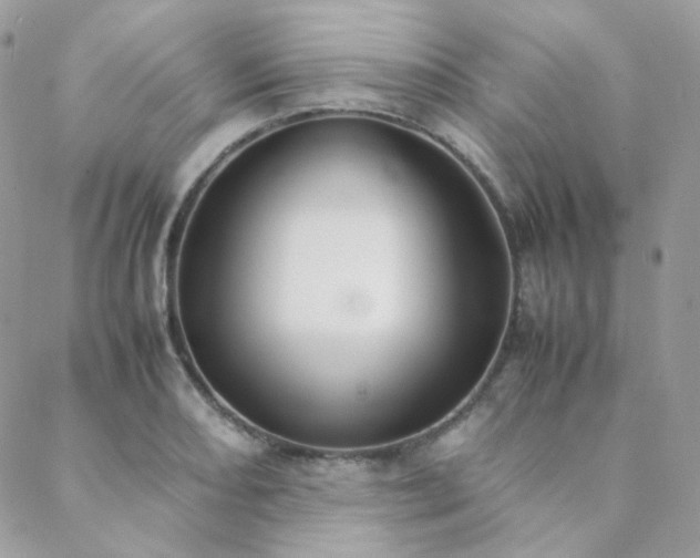 X0000089401082200706151221
