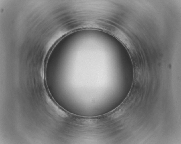 X0000089401084200706151221