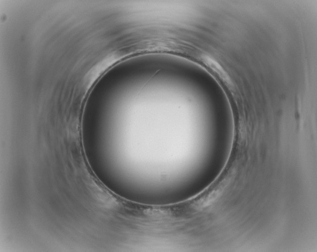 X0000089401089200706151220
