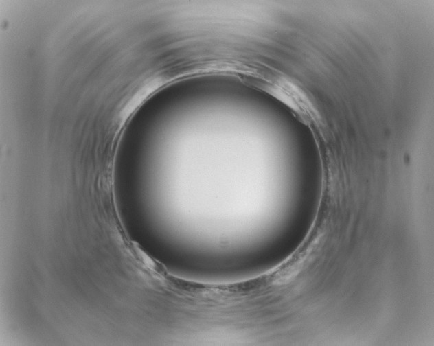 X0000089401097200706151220