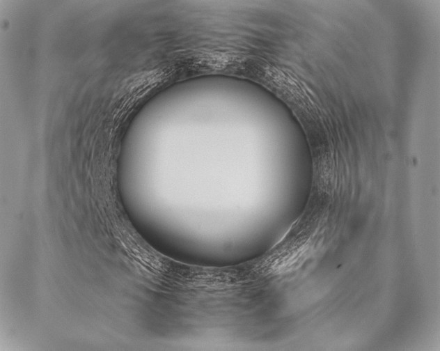 X0000089401105200706151219