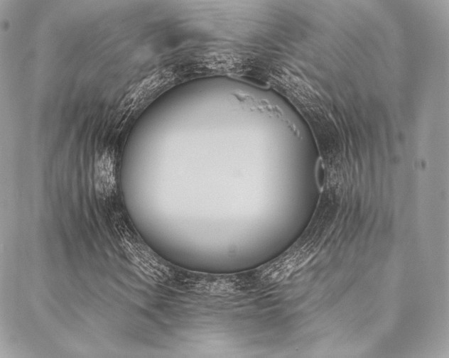 X0000089401106200706151219