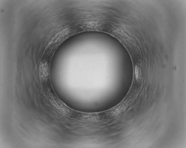 X0000089401107200706151219