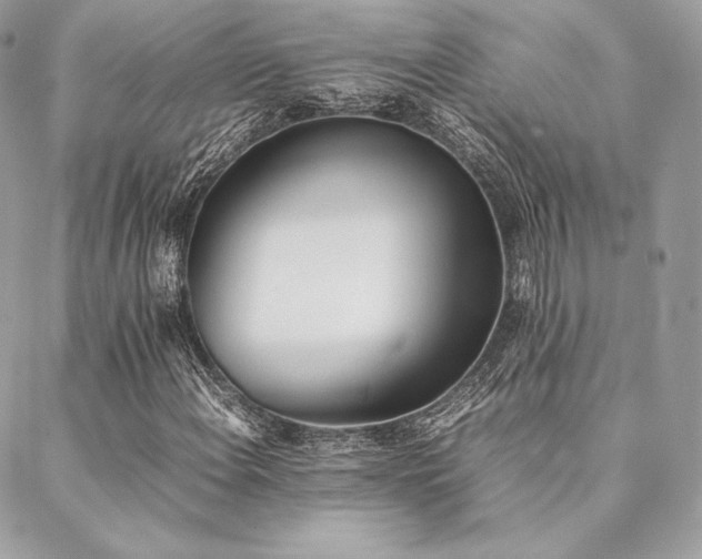 X0000089401108200706151220
